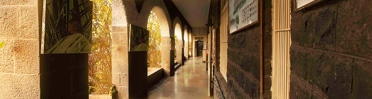 St Mary's School Pune
